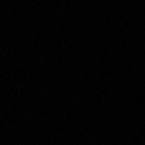 Meet your Posher, Shawn